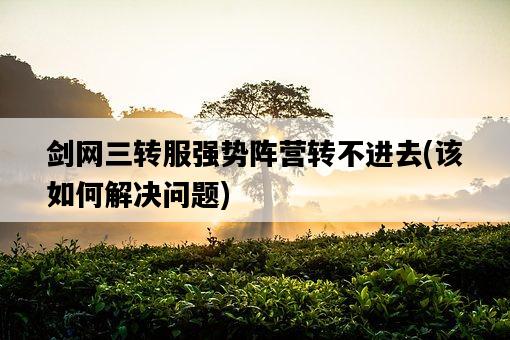 劍網三轉服強勢陣營轉不進去，該如何解決問題-圖1