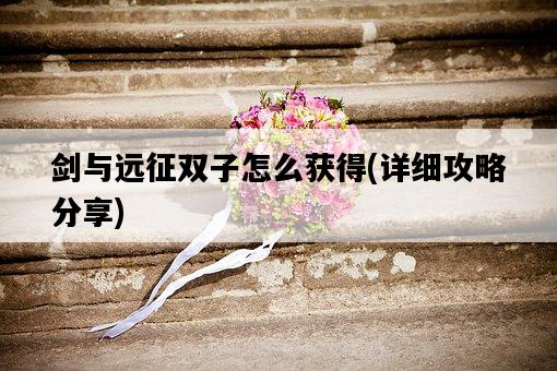 劍與遠征雙子怎么獲得，詳細攻略分享-圖1