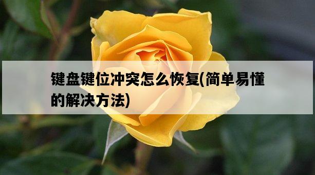 鍵盤鍵位沖突怎么恢復，簡單易懂的解決方法-圖1