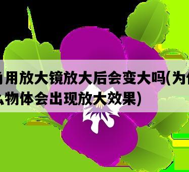 角用放大鏡放大后會變大嗎，為什么物體會出現放大效果-圖1