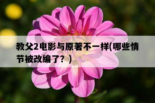 教父2電影與原著不一樣，哪些情節被改編了？-圖1
