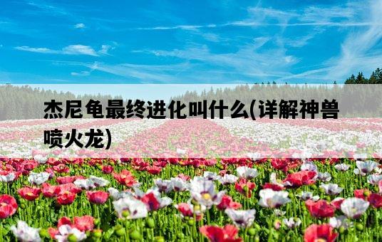 杰尼龜最終進化叫什么，詳解神獸噴火龍-圖1