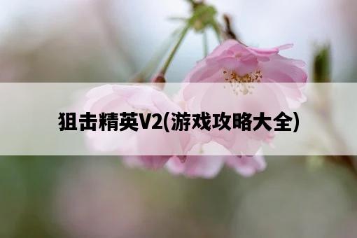 狙擊精英V2，游戲攻略大全-圖1