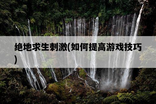 絕地求生刺激，如何提高游戲技巧-圖1