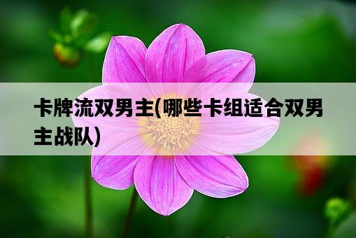 卡牌流雙男主，哪些卡組適合雙男主戰隊-圖1