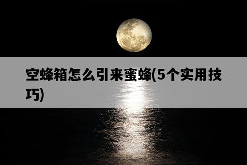 空蜂箱怎么引來蜜蜂，5個實用技巧-圖1