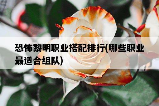 恐怖黎明職業搭配排行，哪些職業最適合組隊-圖1