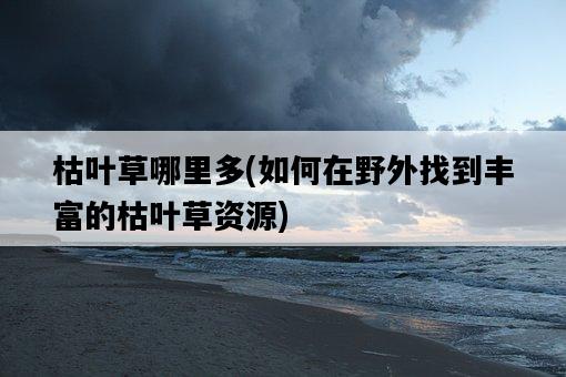 枯葉草哪里多，如何在野外找到豐富的枯葉草資源-圖1