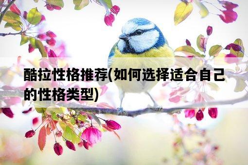 酷拉性格推薦，如何選擇適合自己的性格類型-圖1