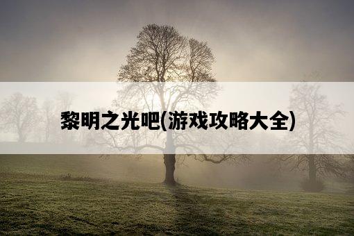 黎明之光吧，游戲攻略大全-圖1