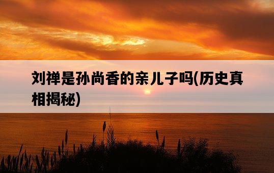 劉禪是孫尚香的親兒子嗎，歷史真相揭秘-圖1