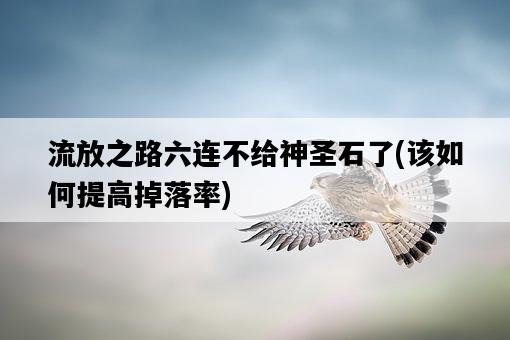 流放之路六連不給神圣石了，該如何提高掉落率-圖1