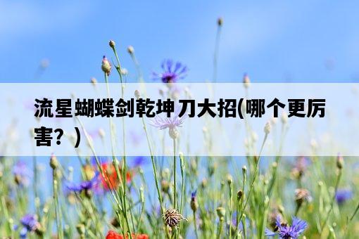 流星蝴蝶劍乾坤刀大招，哪個更厲害？-圖1