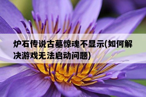 爐石傳說古墓驚魂不顯示，如何解決游戲無法啟動問題-圖1