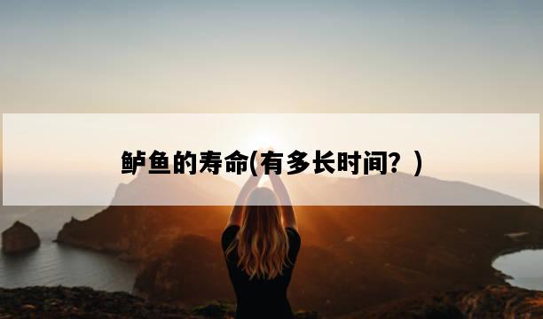 鱸魚的壽命，有多長時間？-圖1