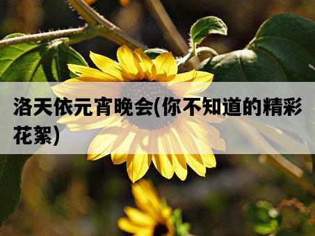 洛天依元宵晚會，你不知道的精彩花絮-圖1