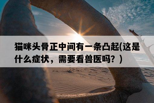 貓咪頭骨正中間有一條凸起，這是什么癥狀，需要看獸醫嗎？-圖1