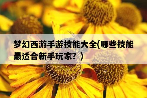 夢幻西游手游技能大全，哪些技能最適合新手玩家？-圖1