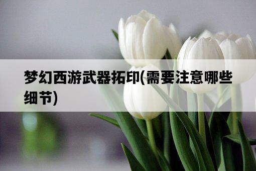 夢幻西游武器拓印，需要注意哪些細節-圖1