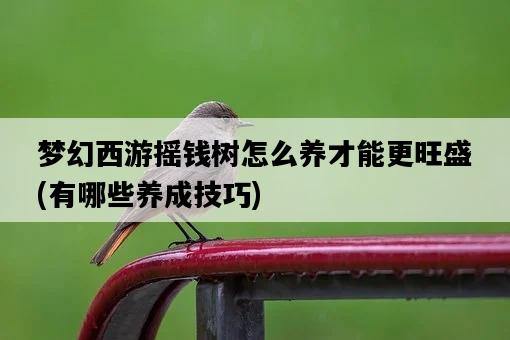 夢幻西游搖錢樹怎么養才能更旺盛，有哪些養成技巧-圖1