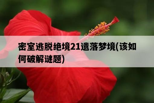 密室逃脫絕境21遺落夢境，該如何破解謎題-圖1