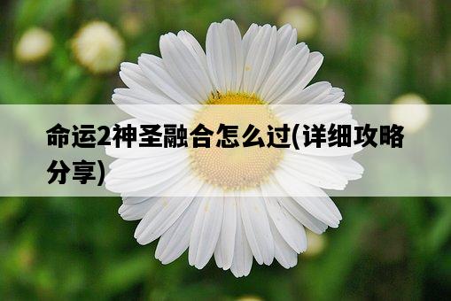 命運2神圣融合怎么過，詳細攻略分享-圖1