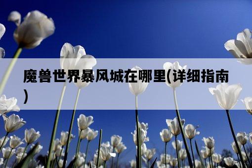 魔獸世界暴風城在哪里，詳細指南-圖1