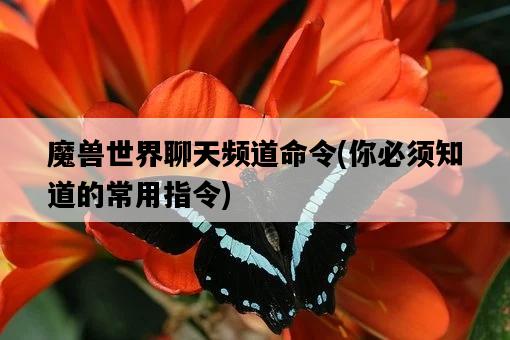 魔獸世界聊天頻道命令，你必須知道的常用指令-圖1