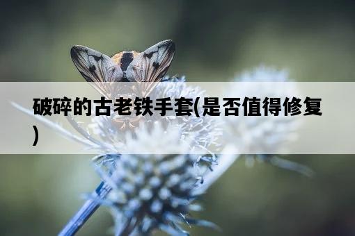 破碎的古老鐵手套，是否值得修復-圖1