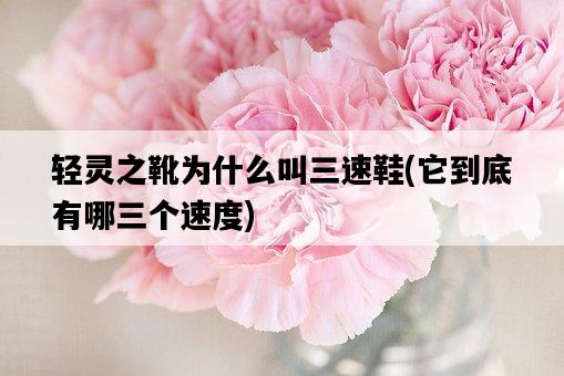 輕靈之靴為什么叫三速鞋，它到底有哪三個速度-圖1