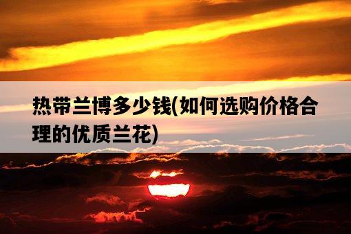 熱帶蘭博多少錢，如何選購價格合理的優質蘭花-圖1