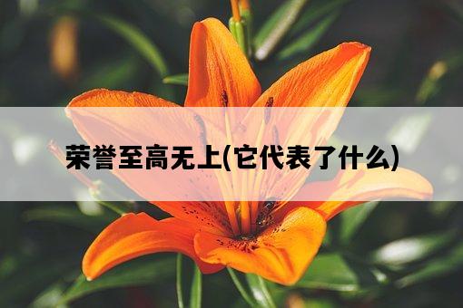 榮譽至高無上，它代表了什么-圖1