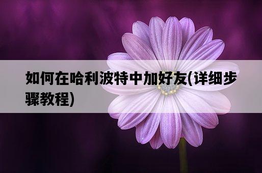 如何在哈利波特中加好友，詳細步驟教程-圖1