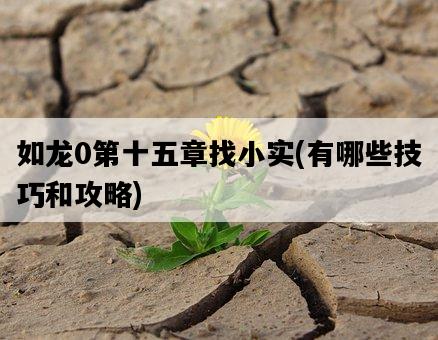 如龍0第十五章找小實，有哪些技巧和攻略-圖1