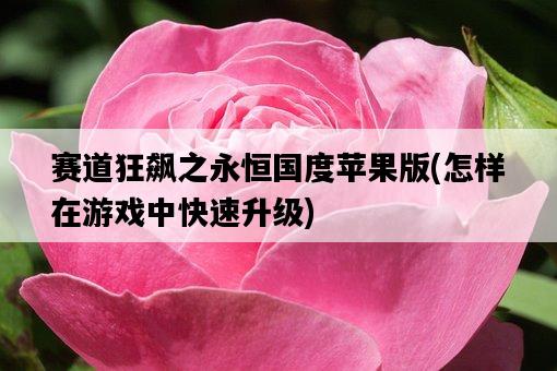 賽道狂飆之永恒國度蘋果版，怎樣在游戲中快速升級-圖1