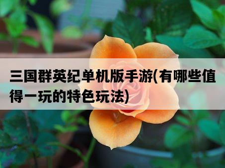 三國群英紀單機版手游，有哪些值得一玩的特色玩法-圖1