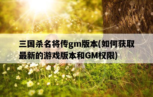 三國殺名將傳gm版本，如何獲取最新的游戲版本和GM權限-圖1