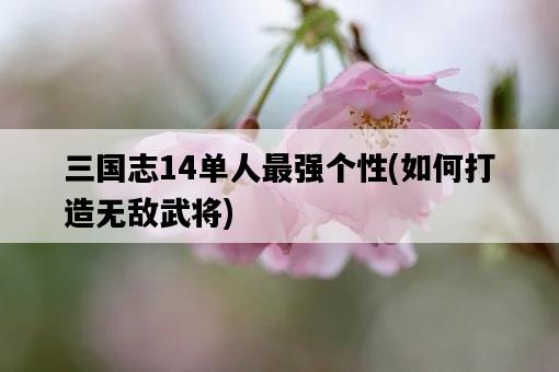 三國志14單人最強個性，如何打造無敵武將-圖1