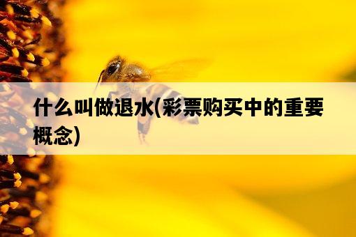 什么叫做退水，**購買中的重要概念-圖1