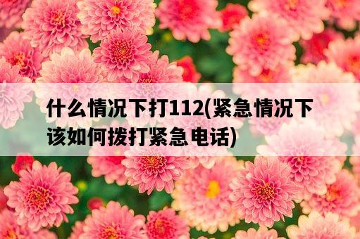什么情況下打112，緊急情況下該如何撥打緊急電話-圖1