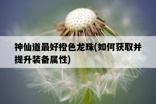 神仙道最好橙色龍珠，如何獲取并提升裝備屬性-圖1