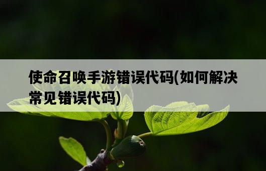 使命召喚手游錯誤代碼，如何解決常見錯誤代碼-圖1