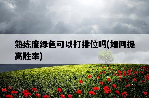 熟練度綠色可以打排位嗎，如何提高勝率-圖1