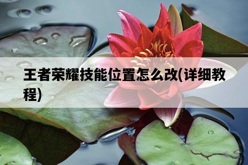 王者榮耀技能位置怎么改，詳細教程-圖1