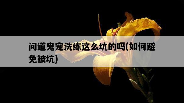 問道鬼寵洗練這么坑的嗎，如何避免被坑-圖1