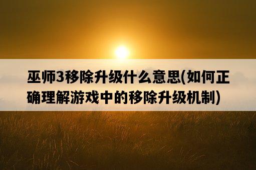 巫師3移除升級什么意思，如何正確理解游戲中的移除升級機制-圖1