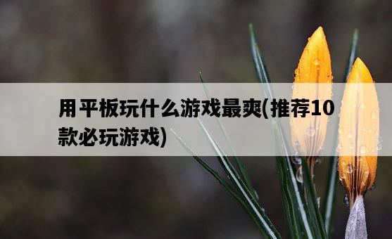 用平板玩什么游戲最爽，推薦10款必玩游戲-圖1