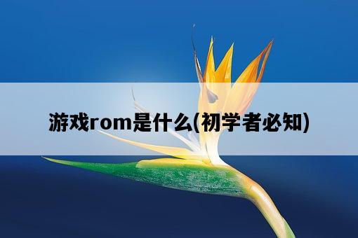 游戲rom是什么，初學者必知-圖1