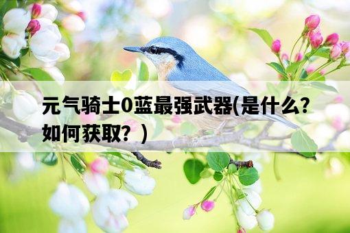 元氣騎士0藍最強武器，是什么？如何獲取？-圖1