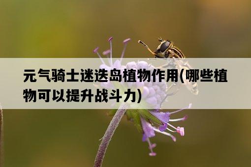 元氣騎士迷迭島植物作用，哪些植物可以提升戰斗力-圖1